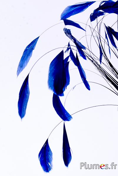 Coquetips - 13-18 cm - bleu nuit